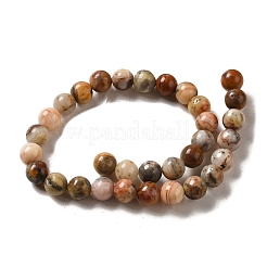 Natural Crazy Lace Agate Round Bead Strands&nbsp;G-M272-03-6mm