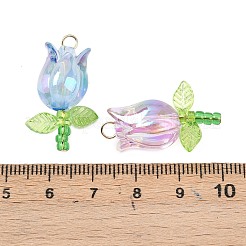Acrylic Pendants&nbsp;PALLOY-JF03535-01