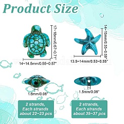 4 Strands 2 Styles Synthetic Turquoise Dyed Beads Strands&nbsp;G-AR0005-81