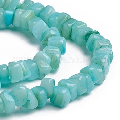 Shell Beads Strands&nbsp;BSHE-G026-02