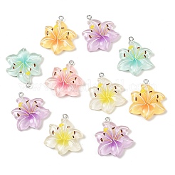 Resin Pendants&nbsp;RESI-D016-04B