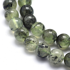 Natural Prehnite Beads Strands&nbsp;G-K224-03-8mm