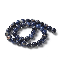 Natural South Africa Sodalite Beads Strands&nbsp;G-S259-35-10mm