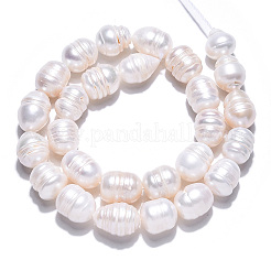 Natural Cultured Freshwater Pearl Beads Strands&nbsp;PEAR-N012-10C