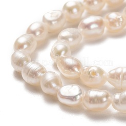 天然養殖淡水パールビーズ連売り  ライス  ビスク  5~7x4~5mm  穴：0.5mm  約43~55個/連  13.39~13.78''（34~35センチメートル）&nbsp;LS-PEAR-J005-61