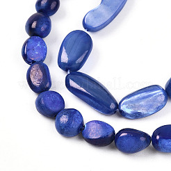 Natural White Shell Beads Strands&nbsp;SHEL-N036-21B