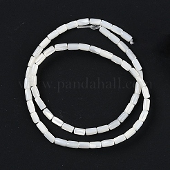天然淡水シェルビーズ連売り  コラム  貝殻色  6~6.5x3.5mm  穴：0.7mm  約61~63個/連  15.83''（40.2センチメートル）&nbsp;BSHE-H109-16