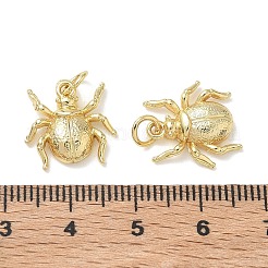 ハロウィンの真鍮製チャーム  動物シリーズ  クモのチャーム  18KGP本金メッキ  14x14x3mm  穴：3.5mm&nbsp;KK-T085-20A-G
