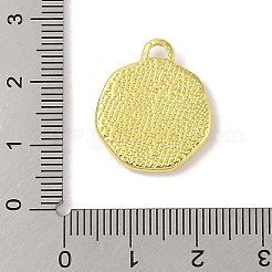 304 Stainless Steel Pendants&nbsp;STAS-A097-13G