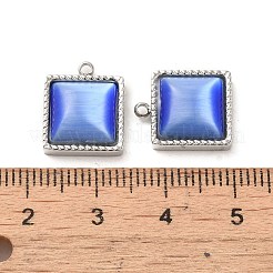 304 Stainless Steel Charms&nbsp;STAS-L022-075P-04