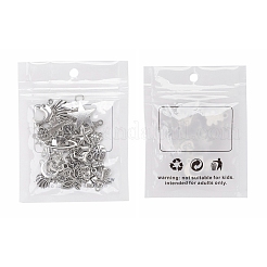 30pcs30スタイルチベットスタイルアロイペンダント  混合図形  アンティークシルバー  21x14x4mm  穴：2mm&nbsp;TIBEP-YW0001-29AS