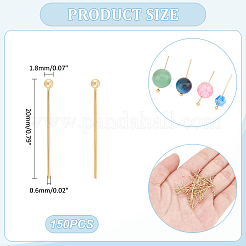 150Pcs 304 Stainless Steel Ball Head Pins&nbsp;STAS-UN0058-93C-G