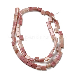 Natural Rhodonite Beads Strands&nbsp;G-F762-A18-01