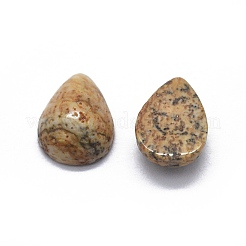 Natural Picture Jasper Cabochons&nbsp;G-O175-22-06