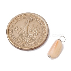 天然貝殻のチャーム  銅線ループ付き  プラチナ  7.5~11x6.5~8.5x3.5~7mm  穴：1.5~3.5mm&nbsp;PALLOY-JF02841