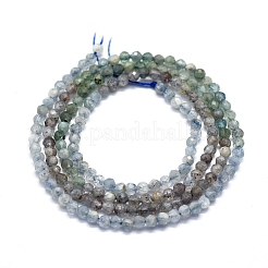 Natural Kyanite/Cyanite/Disthene Beads Strands&nbsp;G-D0013-06B