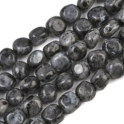 Natural Larvikite Beads Strands&nbsp;GG-CBA787B-A37