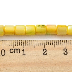 Natural Freshwater Shell Beads Strands&nbsp;SHEL-F008-04E