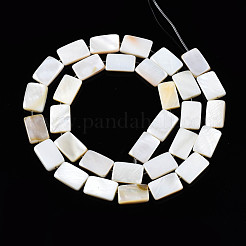 Natural Freshwater Shell Beads Strands&nbsp;SHEL-Q024-013