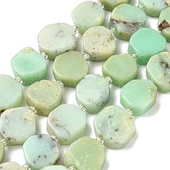 Natural Serpentine Beads Strands&nbsp;G-I394-D21