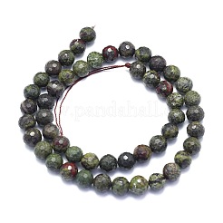 Natural Dragon Blood Jasper Beads Strands&nbsp;G-K310-A26-8mm
