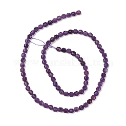 Natural Lepidolite/Purple Mica Stone Beads Strands&nbsp;G-A260-A04-01