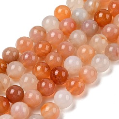 Natural Red Agate Beads Strands&nbsp;G-A248-A06-05
