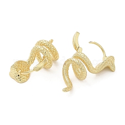 Rack Plating Brass Hoop Earrings&nbsp;EJEW-F324-05G