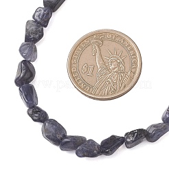 Natural Iolite Nuggets Beaded Necklaces for Women&nbsp;NJEW-JN05829