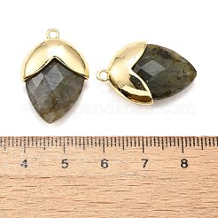 天然石ラブラドライトペンダント  金色の真鍮のパーツと  イチゴの形をしたチャーム  多面カット  25x17.5x7mm  穴：1.6mm&nbsp;G-U019-03B-07