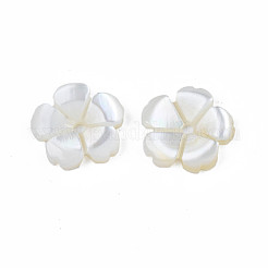 天然淡水シェルビーズ  花  貝殻色  9.5x10x1.5~2mm  穴：1.2mm&nbsp;SHEL-N026-185