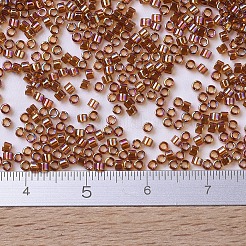 MIYUKI Delica Beads Small&nbsp;X-SEED-J020-DBS0170