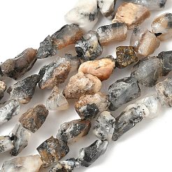 Raw Rough Natural African Black Opal Beads Strands&nbsp;G-M453-C05
