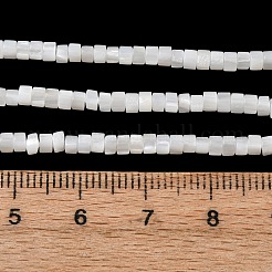 Natural Freshwater Shell Beads Strands&nbsp;X-SHEL-K006-72C
