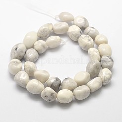 Natural Howlite Nuggets Bead Strands&nbsp;G-L288-08
