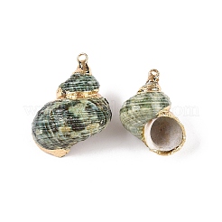 Natural Sea Shell Pendants&nbsp;SSHEL-N038-56