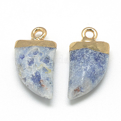 Natural Sodalite Pointed Pendants&nbsp;G-Q966-08
