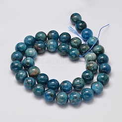 Natural Apatite Round Bead Strands&nbsp;G-M304-14-10mm