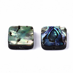 Natural Abalone Shell/Paua Shell Beads&nbsp;SSHEL-T014-12B