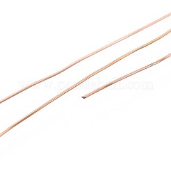10M 304 Stainless Steel Wire&nbsp;TWIR-N005-0.4mm-RG