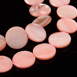 Natural Shell Beads Strands&nbsp;X-PBB251Y-6