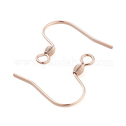 304 Stainless Steel Earring Hooks&nbsp;STAS-E484-55RG