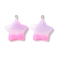 Opaque Resin Pendants&nbsp;CRES-I027-01P