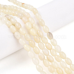 Natural White African Opal Beads Strands&nbsp;G-N346-02B-10