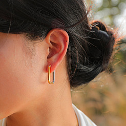Two Tone 304 Stainless Steel Hoop Earrings&nbsp;EJEW-K257-02A-GP