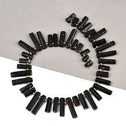Natural Black Tourmaline Beads Strands&nbsp;G-F829-A03-01