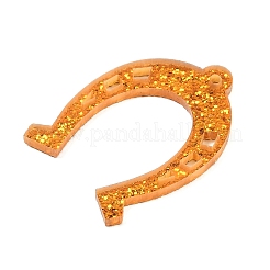 Transparent Acrylic Pendants&nbsp;FIND-K017-08