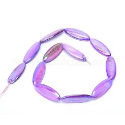 Natural Freshwater Shell Bead Strands&nbsp;SHEL-S253-09