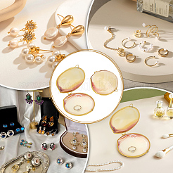 2Pcs Natural Shell Ring Storage Display Cases&nbsp;SHEL-MA0001-03