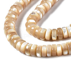 Natural Trochid Shell/Trochus Shell Beads Strands&nbsp;SSHEL-S266-019B-02